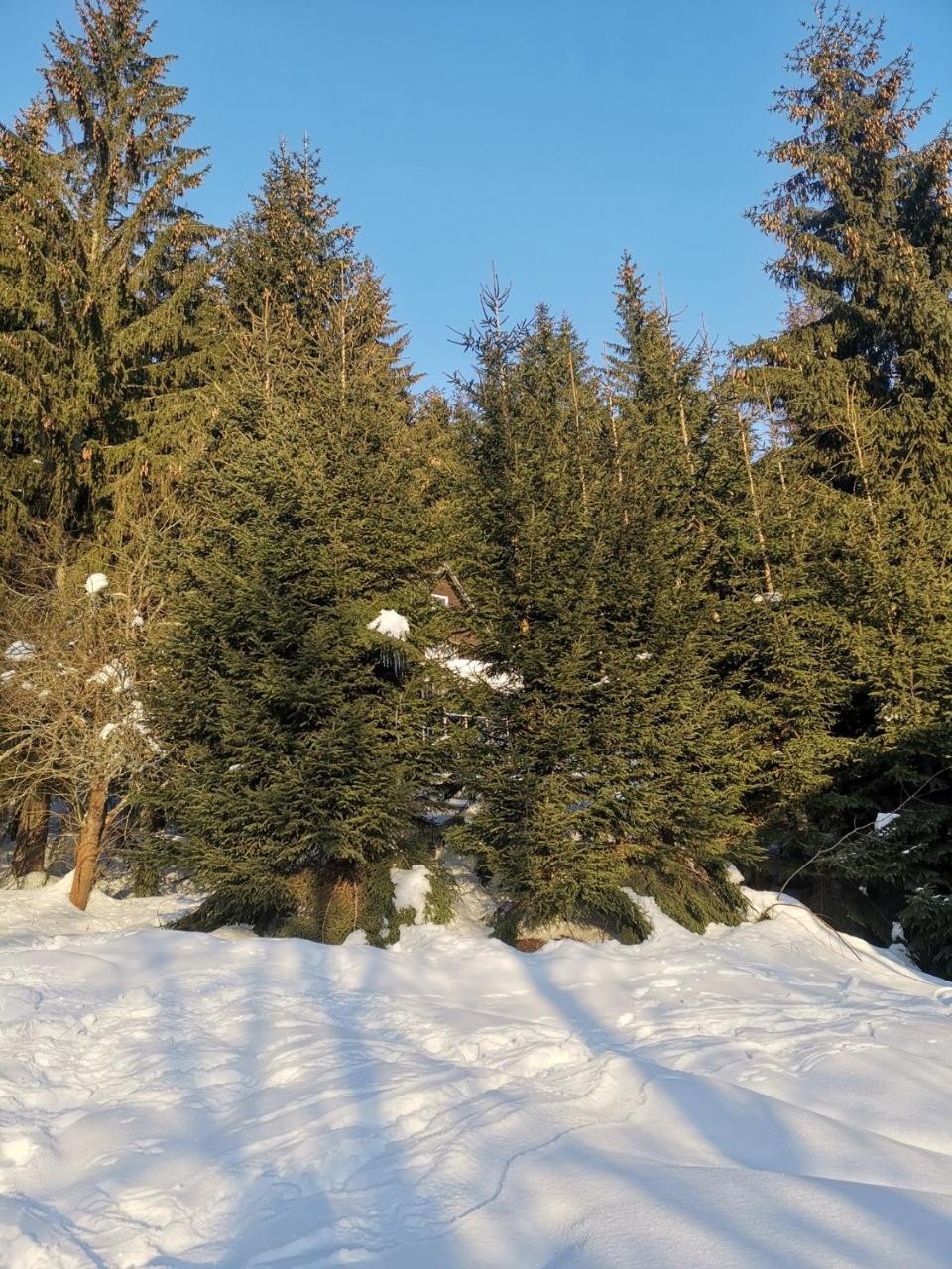 Holiday Home In Harrachov 2311 외부 사진